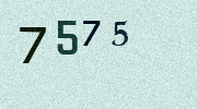 Visual Confirmation Security Code