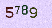 Visual Confirmation Security Code