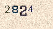 Visual Confirmation Security Code