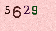 Visual Confirmation Security Code