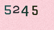 Visual Confirmation Security Code
