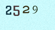 Visual Confirmation Security Code