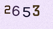 Visual Confirmation Security Code