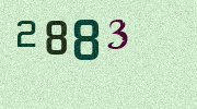 Visual Confirmation Security Code