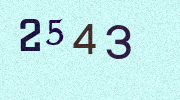 Visual Confirmation Security Code