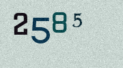Visual Confirmation Security Code