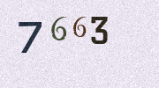 Visual Confirmation Security Code