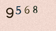 Visual Confirmation Security Code