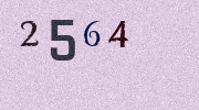 Visual Confirmation Security Code