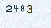 Visual Confirmation Security Code