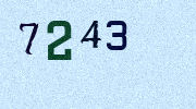 Visual Confirmation Security Code