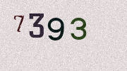 Visual Confirmation Security Code