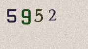 Visual Confirmation Security Code