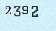 Visual Confirmation Security Code