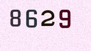 Visual Confirmation Security Code