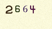 Visual Confirmation Security Code