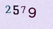 Visual Confirmation Security Code