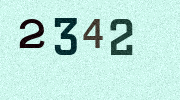 Visual Confirmation Security Code
