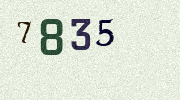 Visual Confirmation Security Code