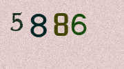 Visual Confirmation Security Code