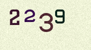 Visual Confirmation Security Code