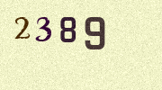 Visual Confirmation Security Code