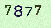 Visual Confirmation Security Code