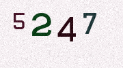 Visual Confirmation Security Code