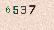 Visual Confirmation Security Code
