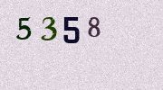 Visual Confirmation Security Code