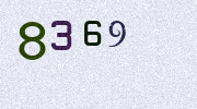 Visual Confirmation Security Code