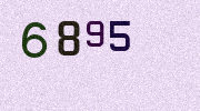 Visual Confirmation Security Code