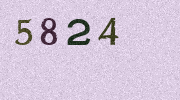 Visual Confirmation Security Code