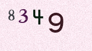 Visual Confirmation Security Code