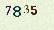 Visual Confirmation Security Code