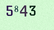 Visual Confirmation Security Code