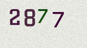 Visual Confirmation Security Code