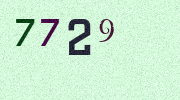 Visual Confirmation Security Code