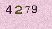 Visual Confirmation Security Code
