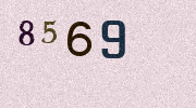 Visual Confirmation Security Code