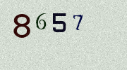 Visual Confirmation Security Code
