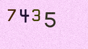 Visual Confirmation Security Code