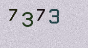 Visual Confirmation Security Code