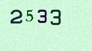 Visual Confirmation Security Code