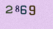 Visual Confirmation Security Code