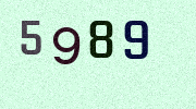 Visual Confirmation Security Code