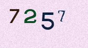 Visual Confirmation Security Code