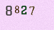 Visual Confirmation Security Code