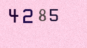 Visual Confirmation Security Code