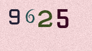 Visual Confirmation Security Code